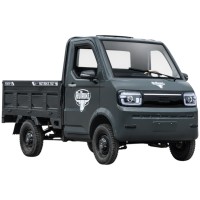 Электромобиль Rutrike Спектр