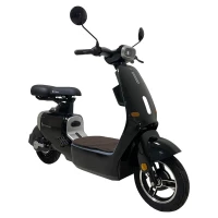 Электроскутер Skyboard Yalta 1200W Black (Чёрный)