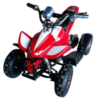 Электроквадроцикл GreenCamel Гоби K100 (24V 350W R4 Цепной привод) Красно-белый